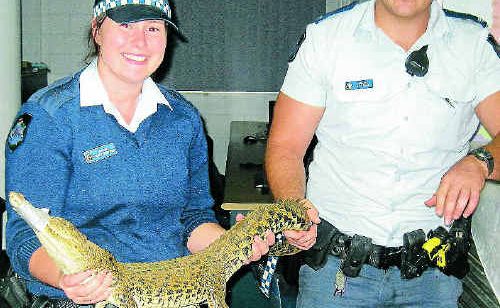 Warwick’s Renee Schneider and her policing partner Adam Green helped catch a crocodile in Innisfail during her graveyard shift. Photo supplied. Warwick’s Renee Schneider and her policing partner Adam Green helped catch a crocodile in Innisfail during her graveyard shift. Photo supplied.